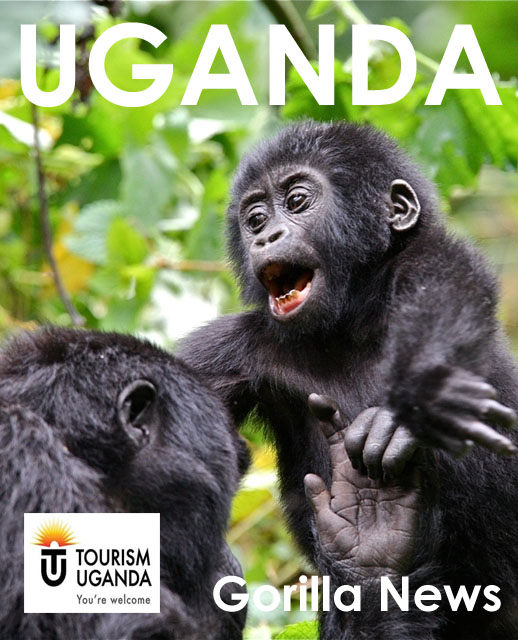 Uganda Travel News