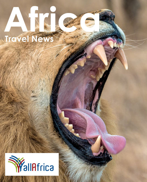 AllAfrica.com News