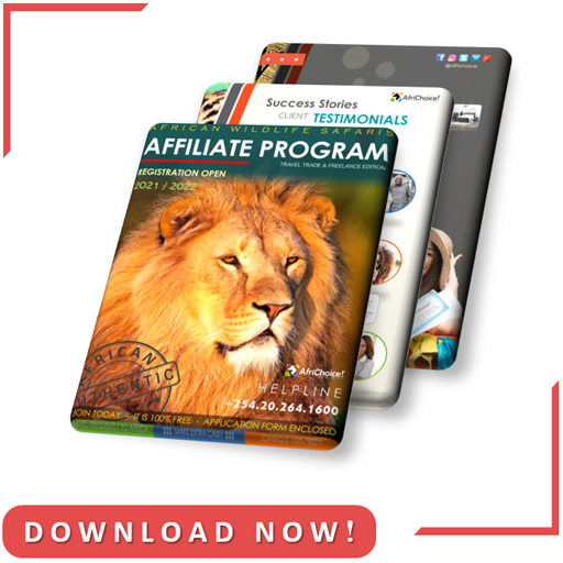 Download Affiliate Brochure