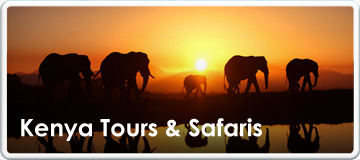 Kenya Wildlife Safaris Guide