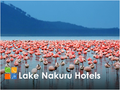 Lake Nakuru Safari Lodges and Camps