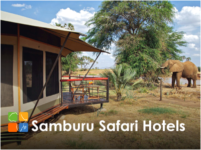 Samburu Safari Hotels and Lodges