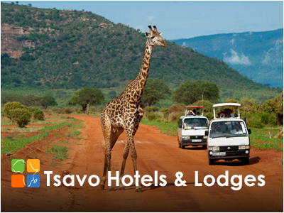 Tsavo Hotels and Safari Lodges
