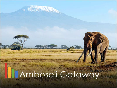 Amboseli Safari Adventure
