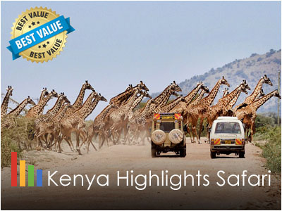 Kenya Highlights Safari Adventure