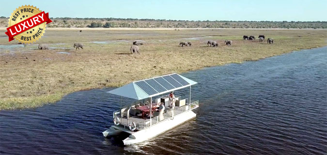 safari okavango delta botswana africa