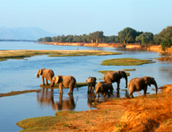 Visit Zimbabwe - Mana Pools Safari