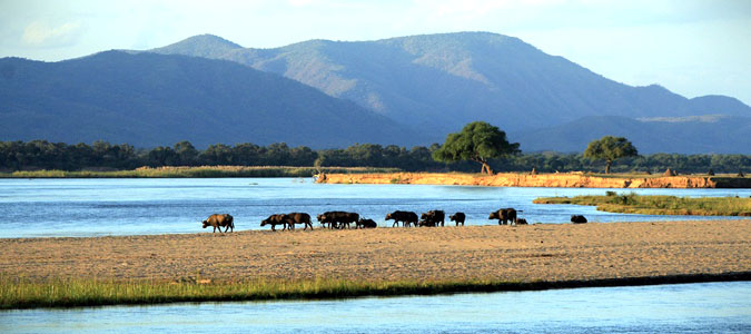 zimbabwe mana pools wildlife photo safari