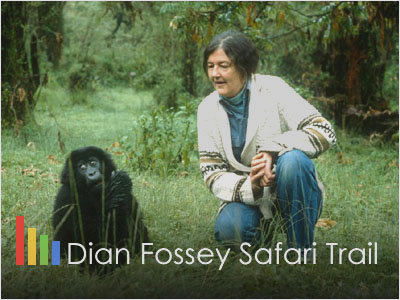 Dian Fossey Gorilla Trail Safari