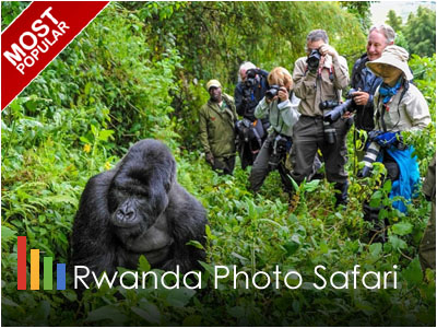 Rwanda Wildlife and culture Photo Safari