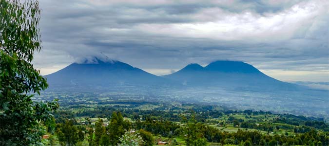 Volcanoes National Park - Rwanda