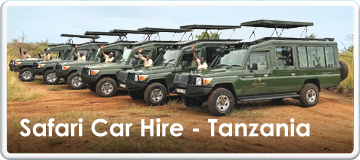 Tanzania Safari Car Hire Services