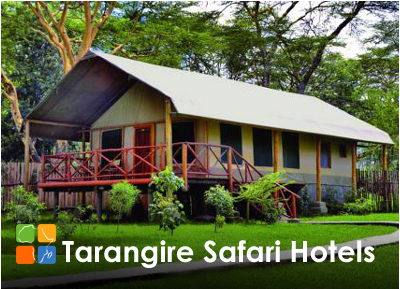 Tarangire Safari Lodges