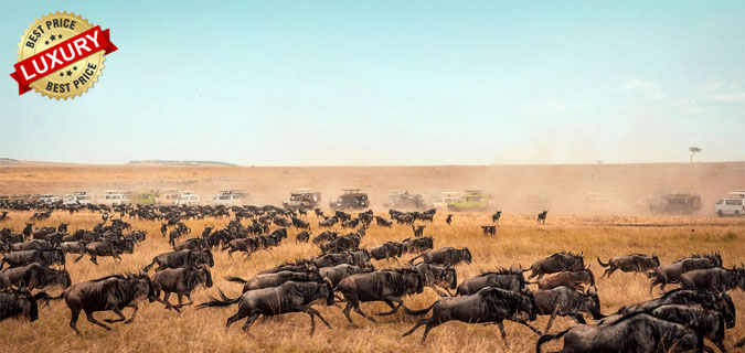 the great wildebeest migration serengeti tanzania