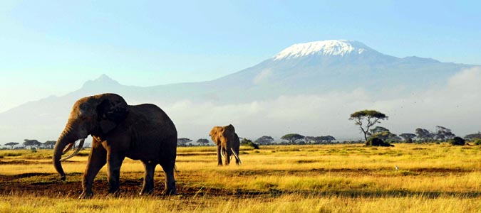 Mount Kilimanjaro National Park - Tanzania