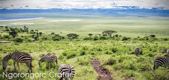 ngorongoro crater safari tanzania