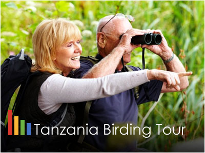 Tanzania Birding Wildlife Safari