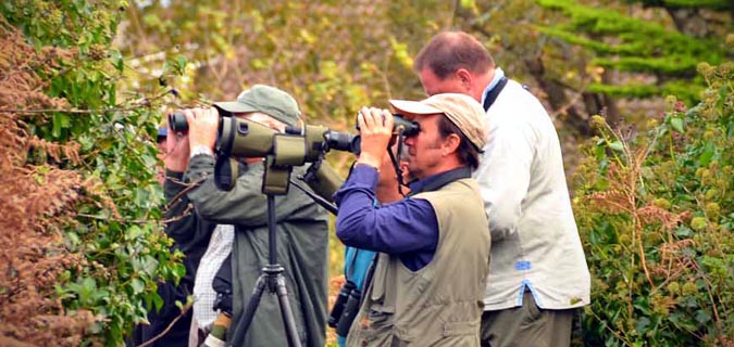 tanzania bird-watching and wildlife safari