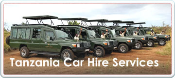 tanzania Safari Car Hire Services