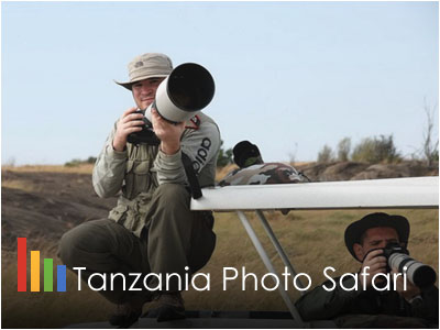 Tanzania Wildlife Photo Safari