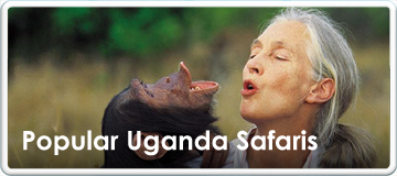 Uganda Wildlife Safaris Guide