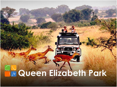 Queen Elizabeth Park Hotels and Lodges