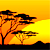 Africa Travel FAQs Frequently asked wildlife safari questions and answers